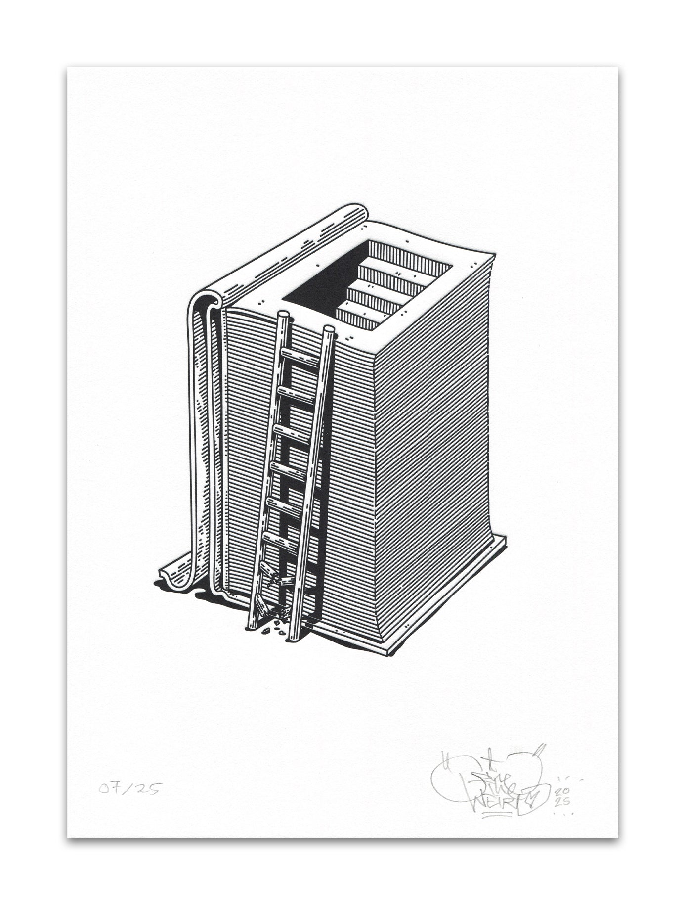 First Steps - Cotton Edition