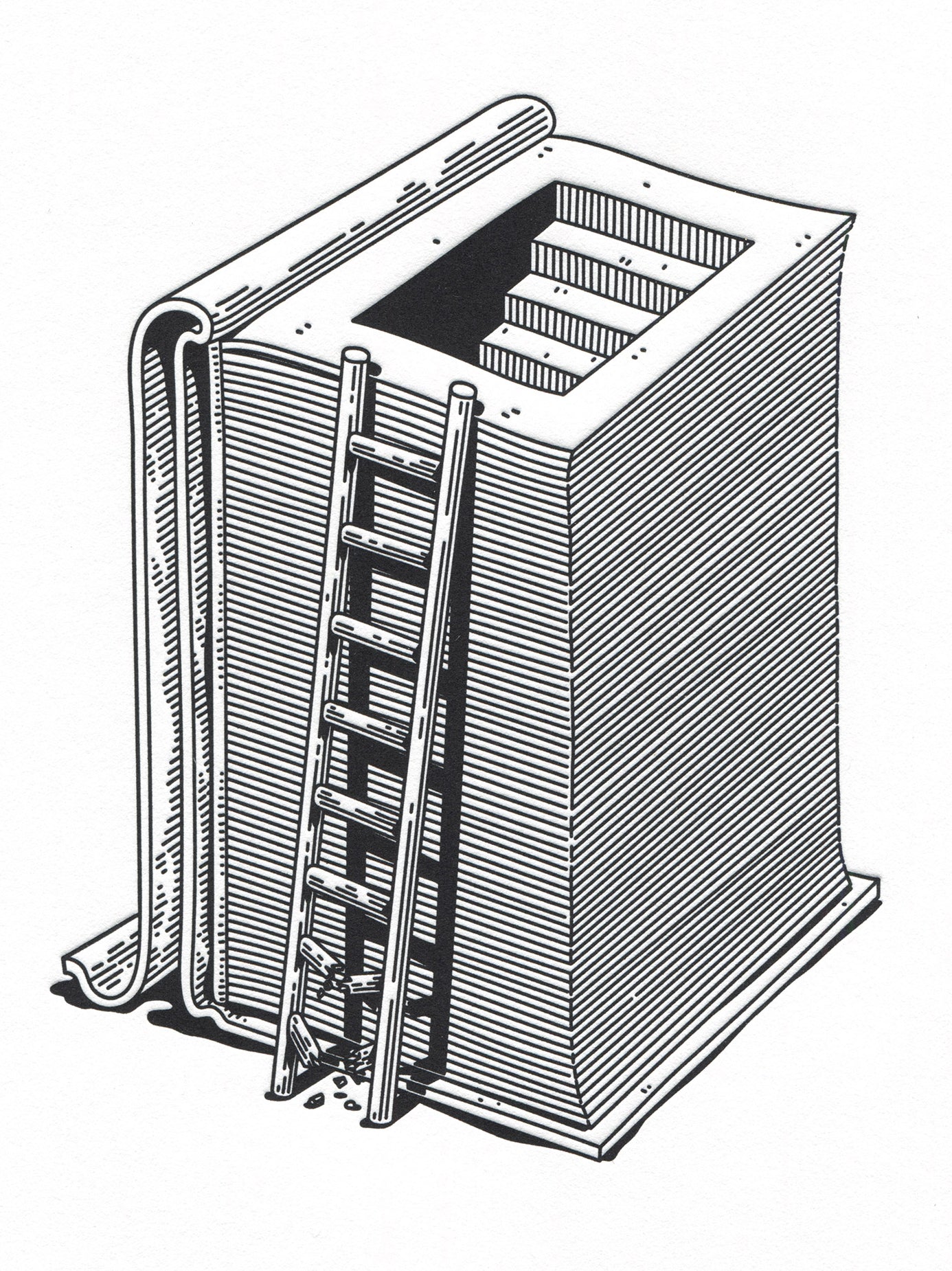 First Steps - Cotton Edition
