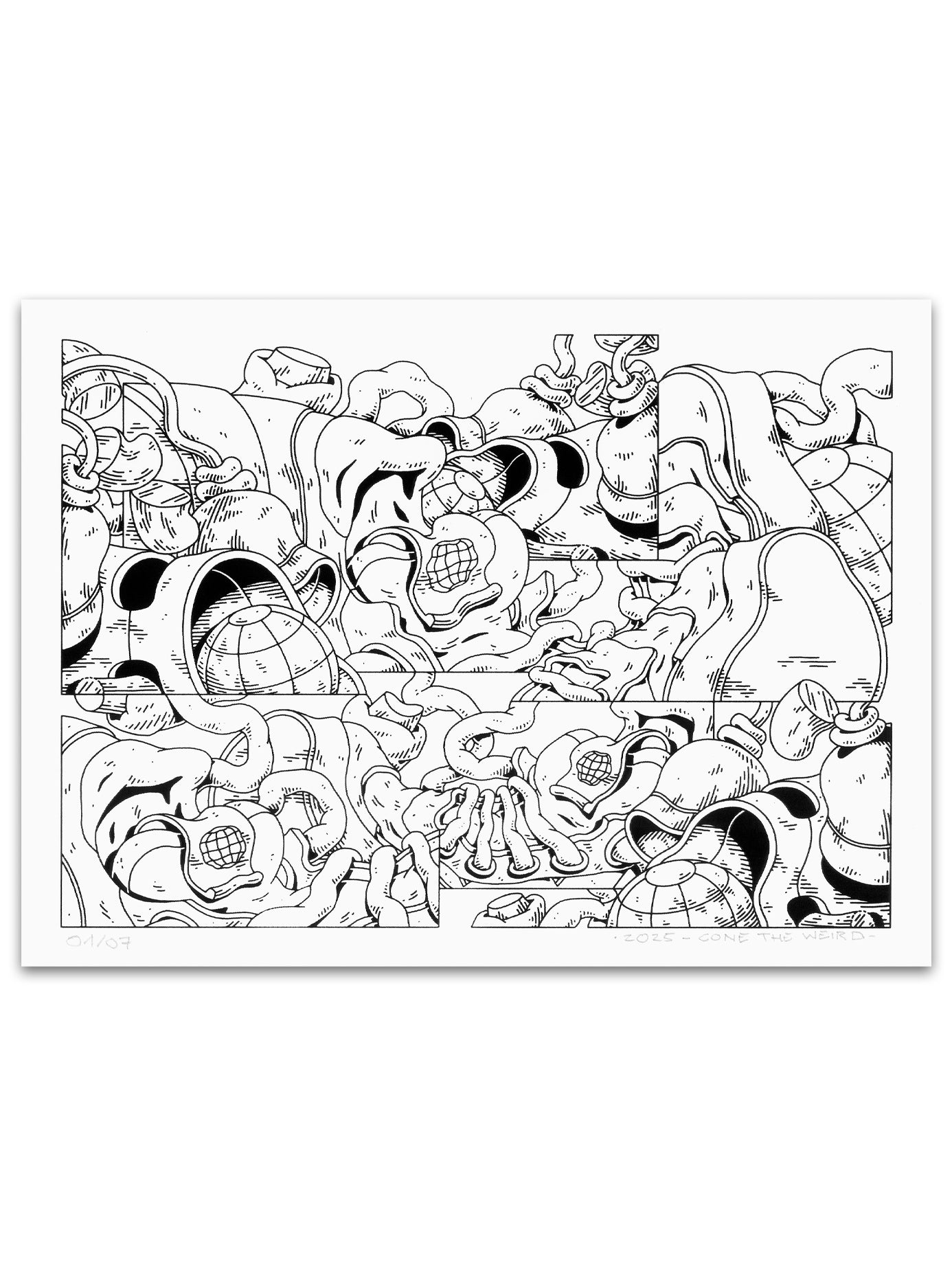 Next Steps 2 - Cotton Edition