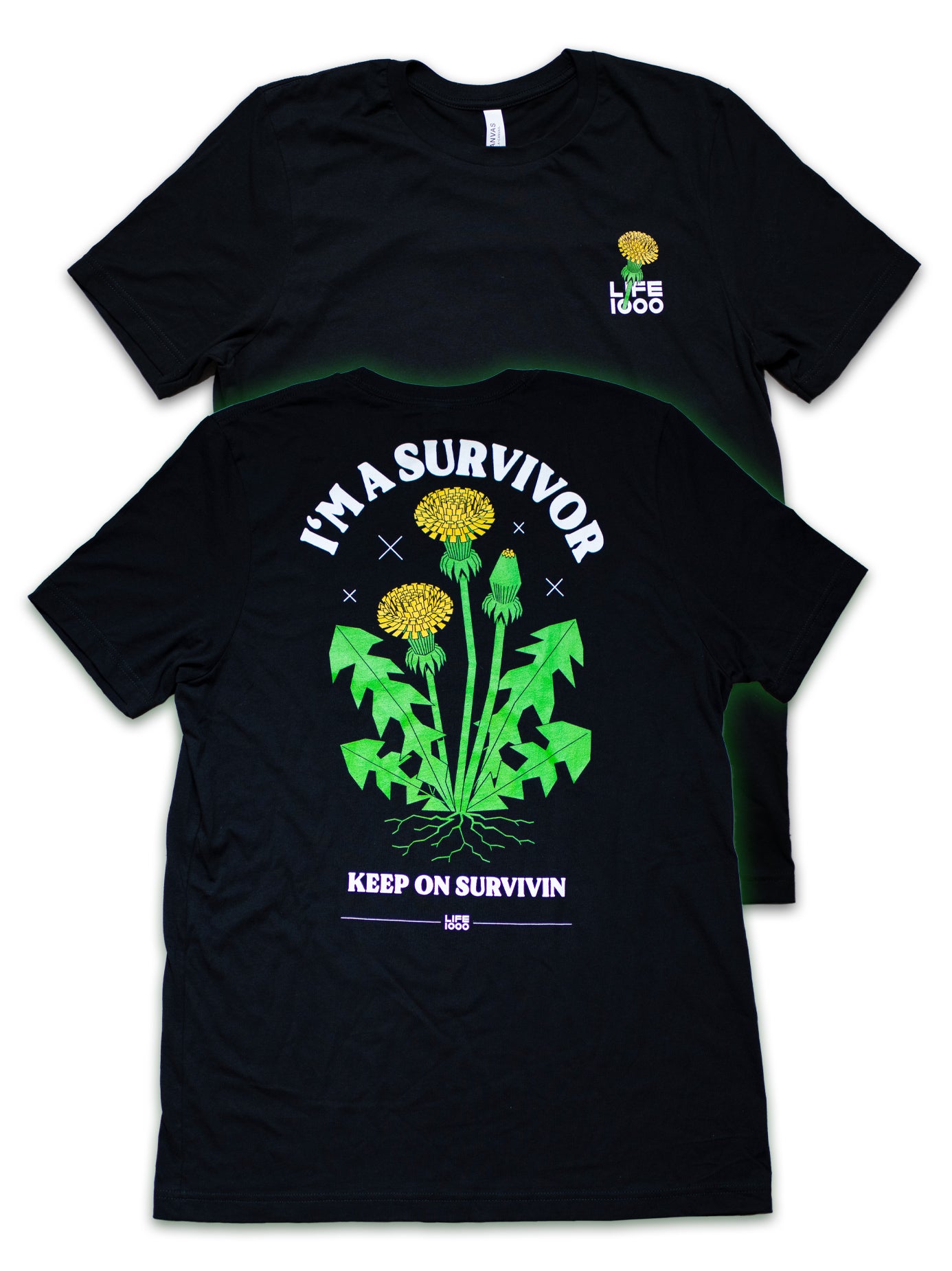Survivor